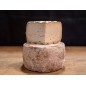 TOMME DE L'AVEYRON