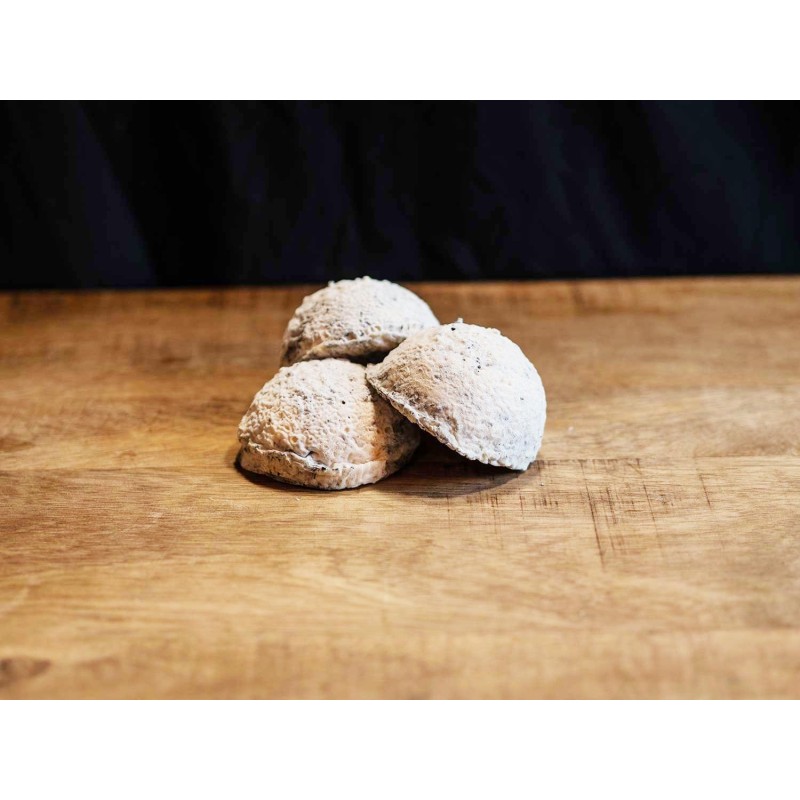 TAUPINETTE FERMIERE TAUPINETTE FERMIERE