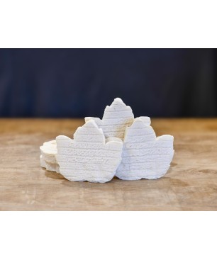 FEUILLE DE CHEVRE