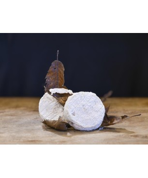 MOTHAIS SUR FEUILLE IGP