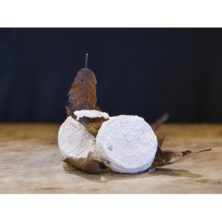 MOTHAIS SUR FEUILLE IGP